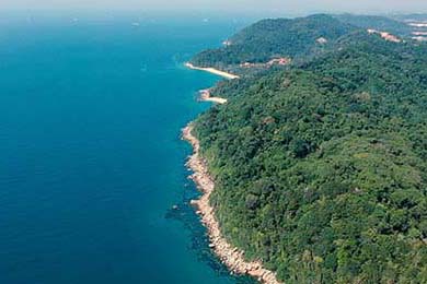 Aster体能训练成果显著，sparq体能训练