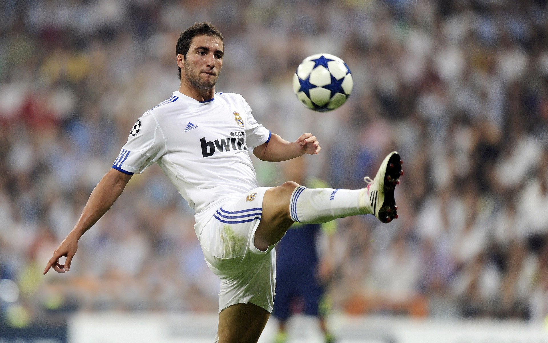世界马拉松公开赛志愿者服务获表扬，马拉松志愿者竞赛